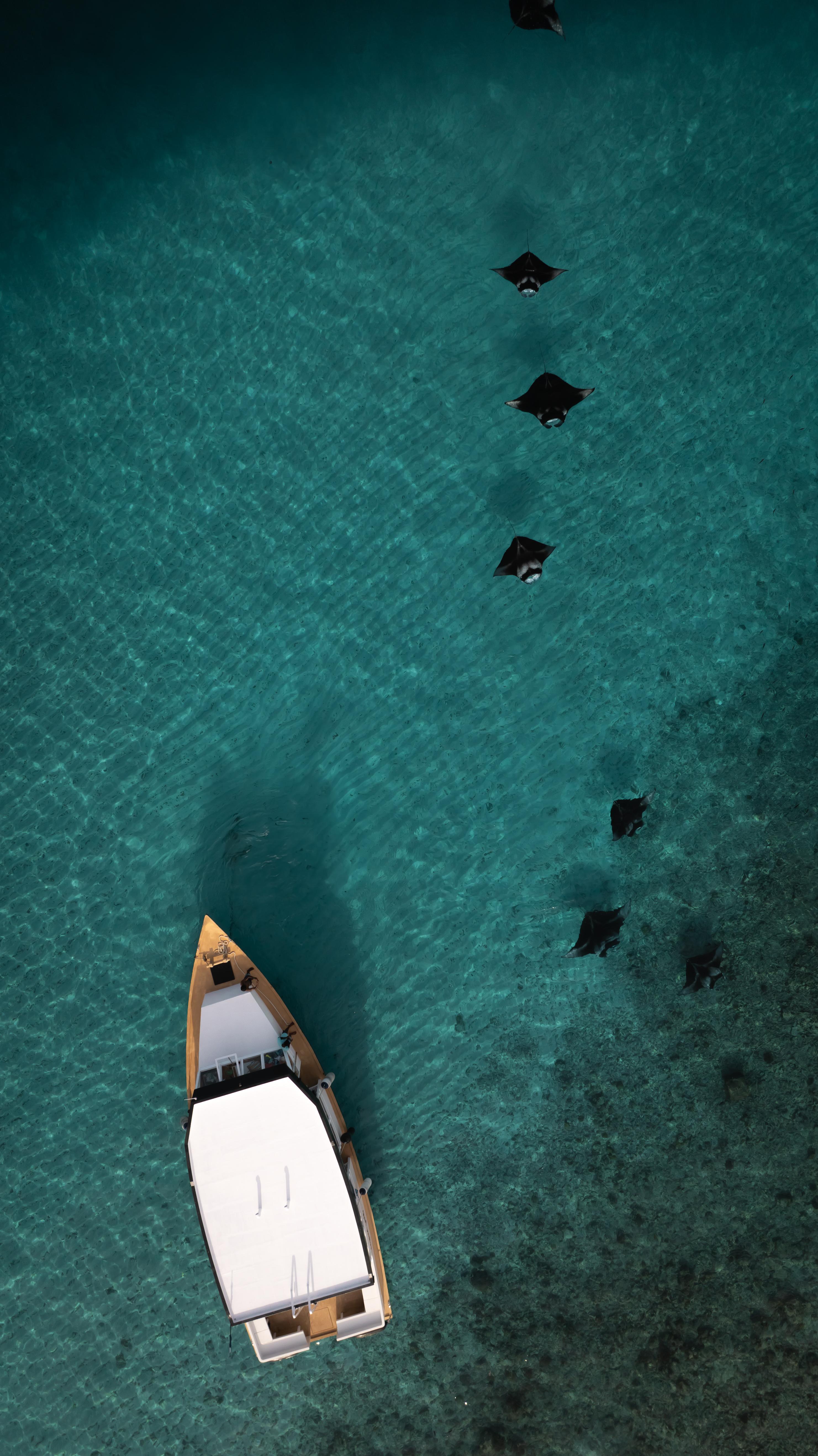 Hanifaru Bay