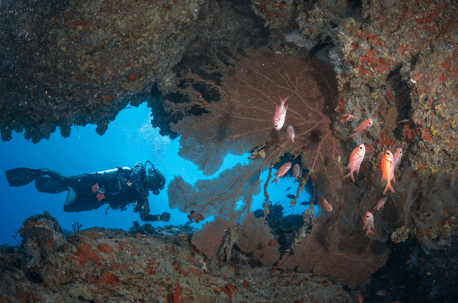 Scuba Diving